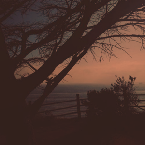 日本做受❌❌高潮999
