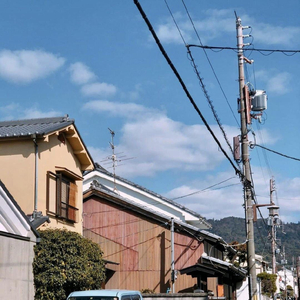 日本做受❌❌高潮999
