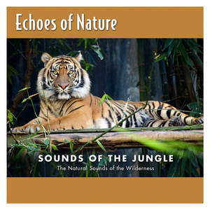 日本做受❌❌高潮999
